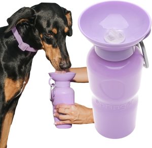 Springer Dog Water Bottle | Portable Travel Water ...