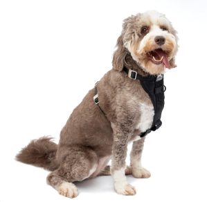 Kurgo Enhanced Strength Tru-Fit Dog Car Harness &#...