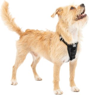 Kurgo Enhanced Strength Tru-Fit Dog Car Harness &#...